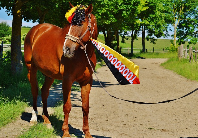 支持者認為 支持者認為