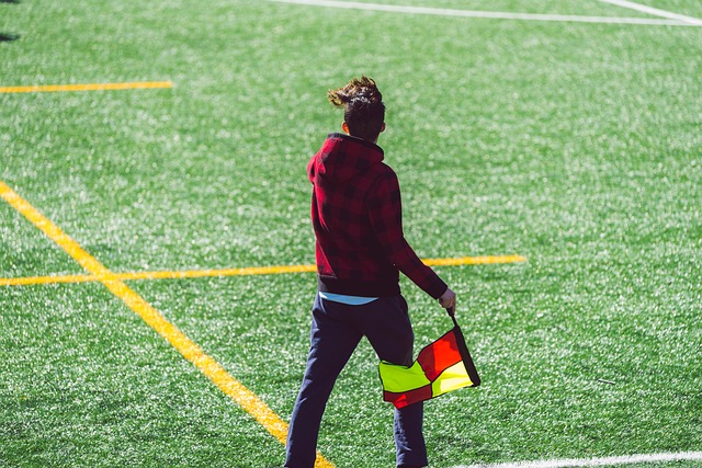 他不仅带领 他不仅带领