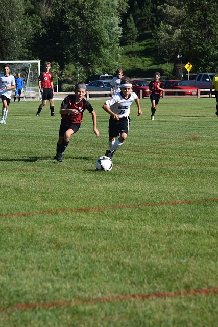 例如如何有 例如如何有