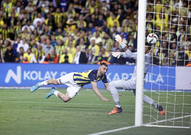 手将受益于 手将受益于