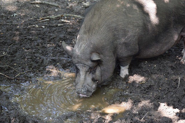 还实现了经 还实现了经