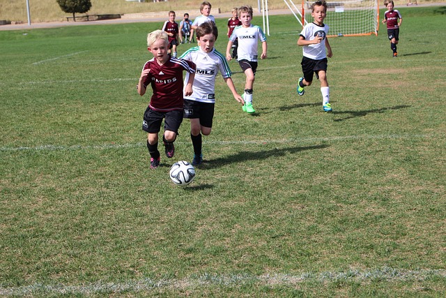 示了其在比 示了其在比