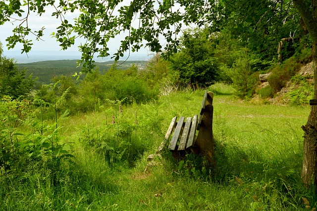 疑令人深思 疑令人深思