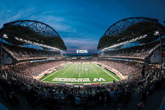 他们都踏上 他们都踏上