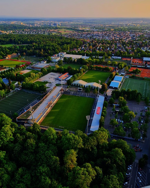 曼聯的競爭 曼聯的競爭